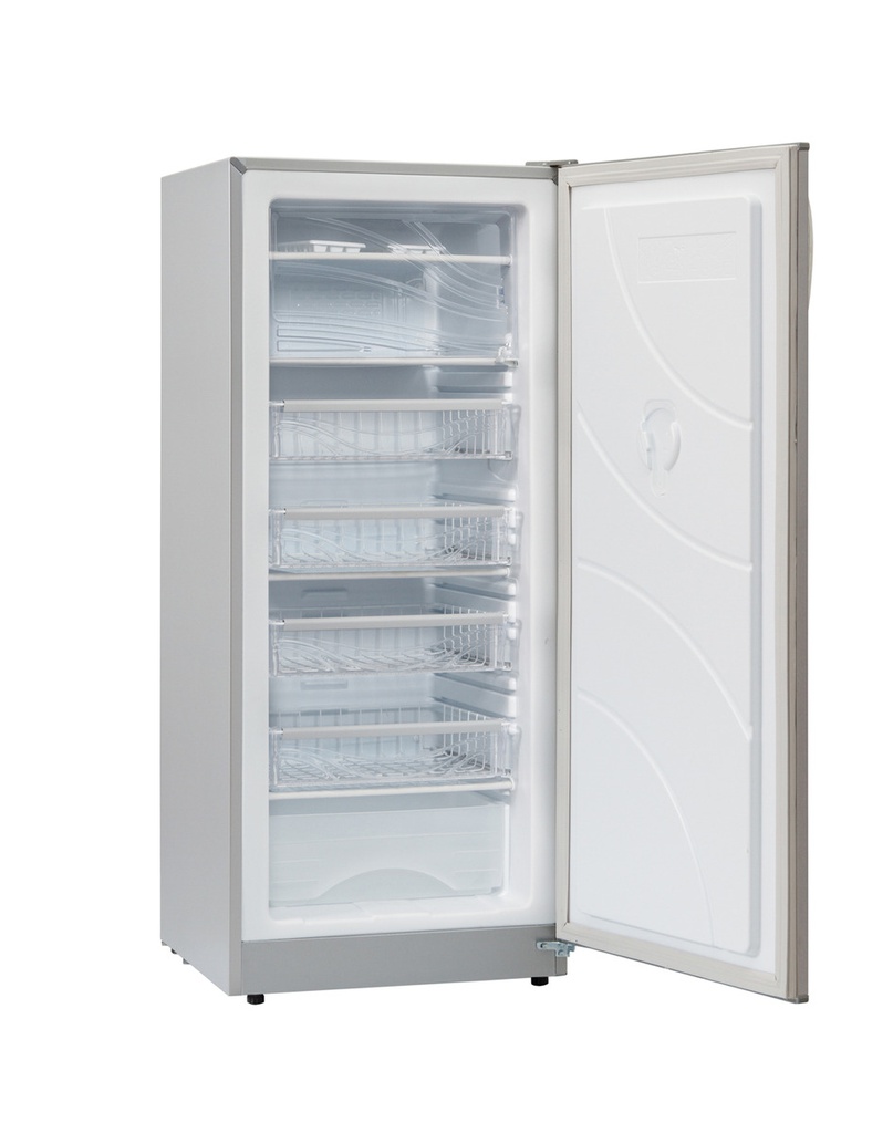 FREEZER VERTICAL BRIKET FV 6220