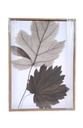 CUADROS CANVA X2 50 X 70