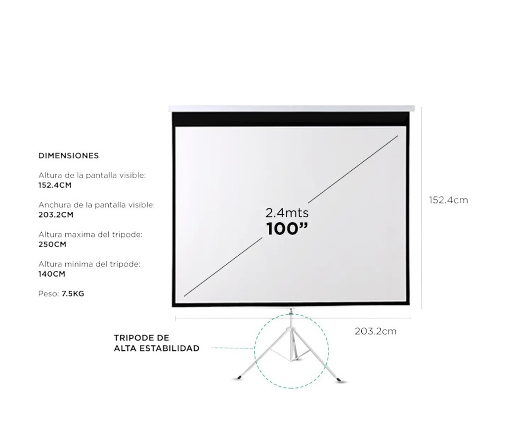 PANTALLA PROYECTOR GADNIC 100&quot;
