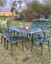 JUEGO DE JARDIN CHATEAUX X 6 SILLONES VERDE