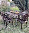 Juego De Jardin Boston X 6 Sillones Cobre