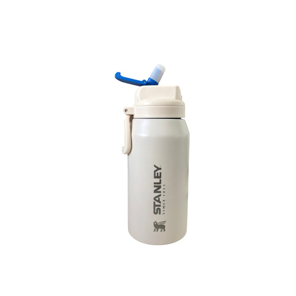 BOTELLA TERMICA STANLEY 600 ML