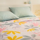 SABANA CASABLANCA AVA Y03 LINEA ORO 114H 2 1/2 PLAZA 220X240 CM