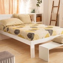 SABANA CASABLANCA AVA Y03 LINEA ORO 114H 2 1/2 PLAZA 220X240 CM