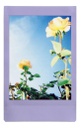 FILM FUJI INSTAX MINI SOFT LAVANDER 10 PK
