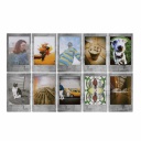 FILM FUJI INSTAX MINI STONE GARY 10 PK