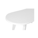 MESA PLASTICA GARDENLIFE CHICAGO OVAL 170X80CM