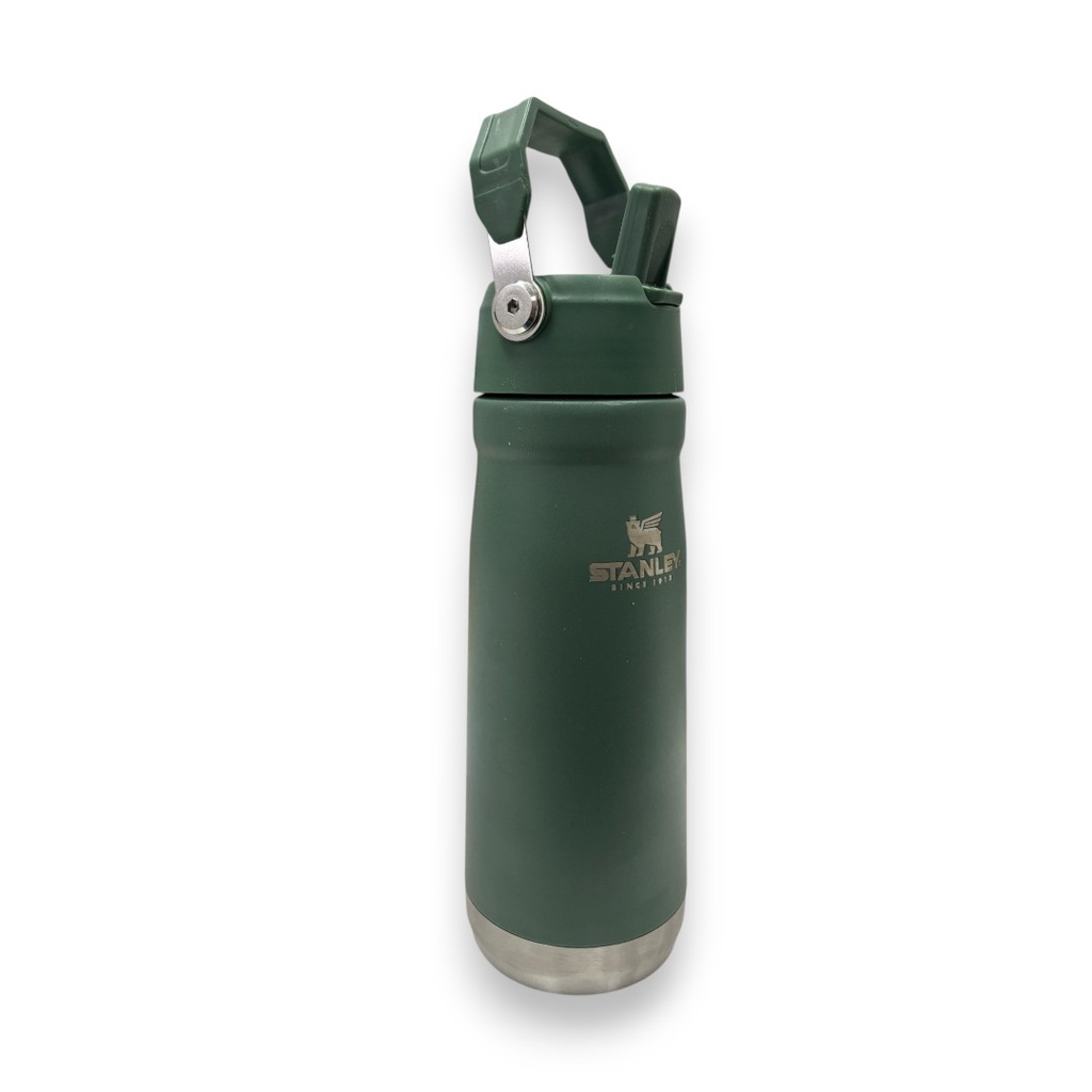 BOTELLA TERMICA STANLEY CON PICO 650 ML VERDE