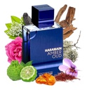 Perfume Al Haramain Amber Oud Dubai Night Edp 100ml