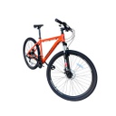 BICICLETA GRAVITY GLOCK R29 TALLE M/L NARANJA