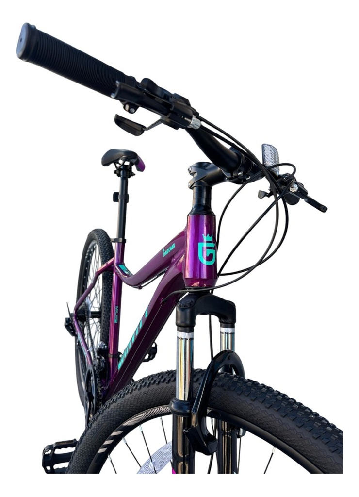 Bicicleta Gravity Dabomb R29 Talle M/l Violeta