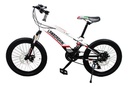 Bicicleta Lamborghini R24 Montanbike 21 Camb Negro/blanco