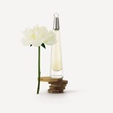 Perfume L'eau D'issey De Issey Miyake Edt X 50ml