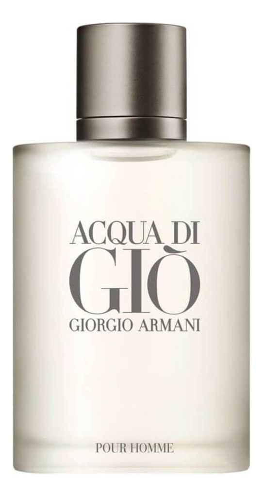 Perfume Acqua Di Gio Homme Edt X 100ml