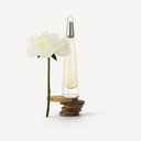 Perfume L'eau D'issey De Issey Miyake Edt X 50ml