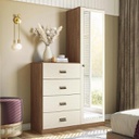 Comoda Estilo C/espejo Santo Andira 1 Puerta - 4 Cajones Are