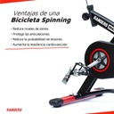 Bicicleta Randers Fija Fc-58h Profesional Friccion Cadena