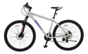 Bicicleta Rodado 29 Mtb Aluminio 21v Gravity Benz