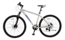 Bicicleta Rodado 29 Mtb Aluminio 21v Gravity Benz