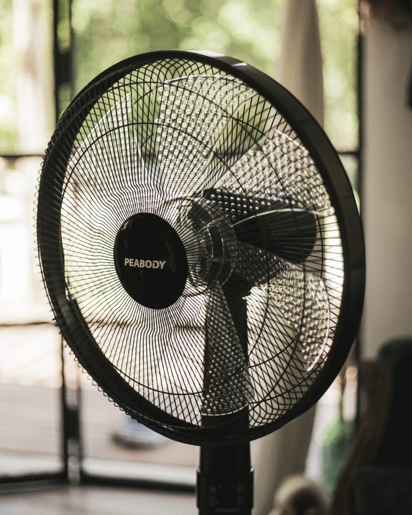 Ventilador De Pie Peabody Pe-vpdc1625n