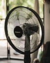 Ventilador De Pie Peabody Pe-vpdc1625n