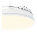 Ventilador De Techo Retractil Peabody Pe-vtrdc410b 42 
