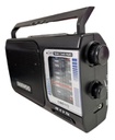 Radio Dual Am/fm Daewoo Dmr113 Pilas 220v Con Antena