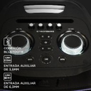 Parlante Stromberg Nova 100w Rms 2x10 Batería 6 Horas Rgb Ng