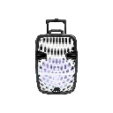 PARLANTE AIWA AW-P1510D-SN PMPO 7000W