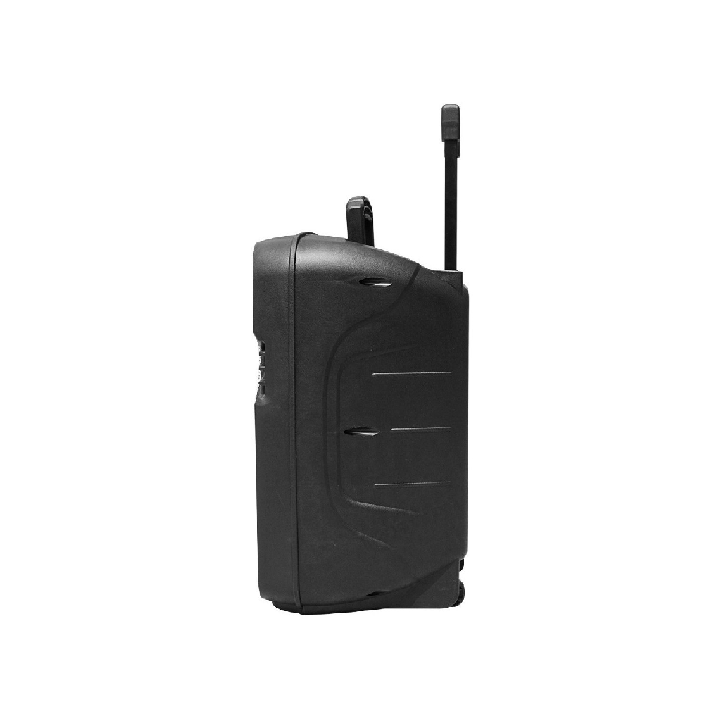 PARLANTE AIWA AW-P1510D-SN PMPO 7000W