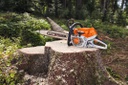 MOTOSIERRA STIHL MS 363.0 MB01 200 0057