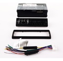 Estéreo Para Auto X-view Ca1000rx Bt