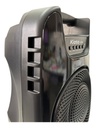 Parlante Kioto Kt85 Inalambrico 8  Usb 10w Luz Led Rgb