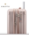 Valija Carry On Amayra 20 Abs 4 Ruedas 360 Oro Rosa Lisa