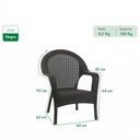 SILLON GARDEN LIFE F785667 RATTAN QATAR GRIS