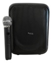 Parlante Harrison Power By Kanji Sp-kja650a 4500 Pmpo Negro