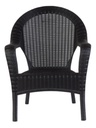 Sillon Garden Life F785601 Rattan Qatar Negro Apilable Negro Liso