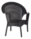 Sillon Garden Life F785601 Rattan Qatar Negro Apilable Negro Liso