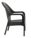 Sillón Garden Life Rattan Apilable Con Apoyabrazos Negro