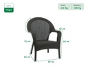 Sillón Garden Life Rattan Apilable Con Apoyabrazos Gris