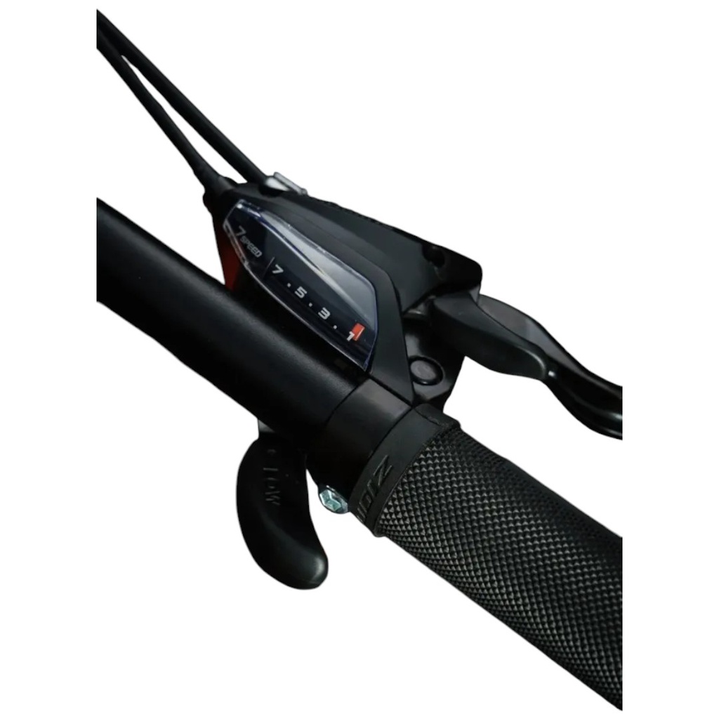 BICICLETA ZION ASPRO DG TALLE S DORADO GRIS