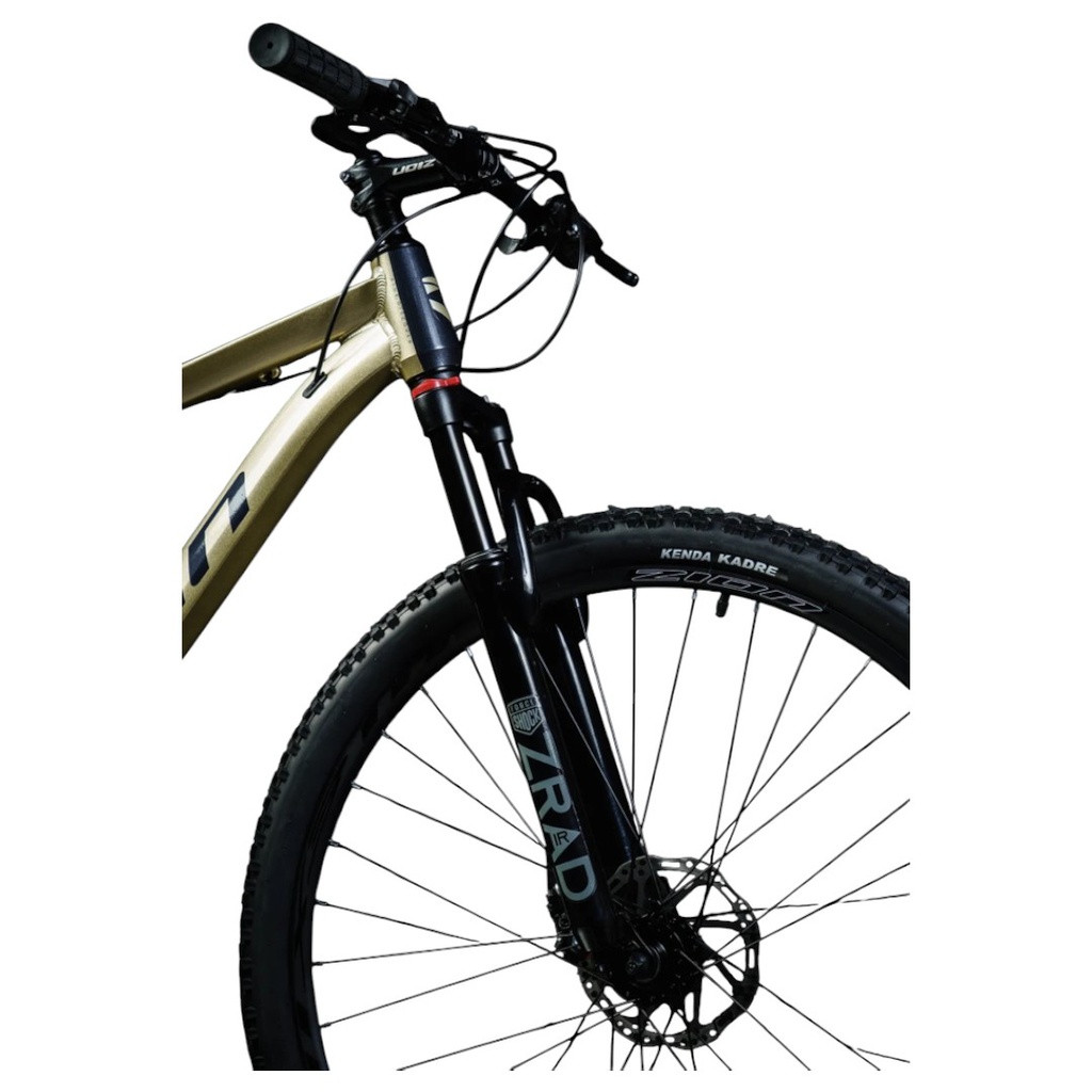 BICICLETA ZION ASPRO DG TALLE L DORADO GRIS