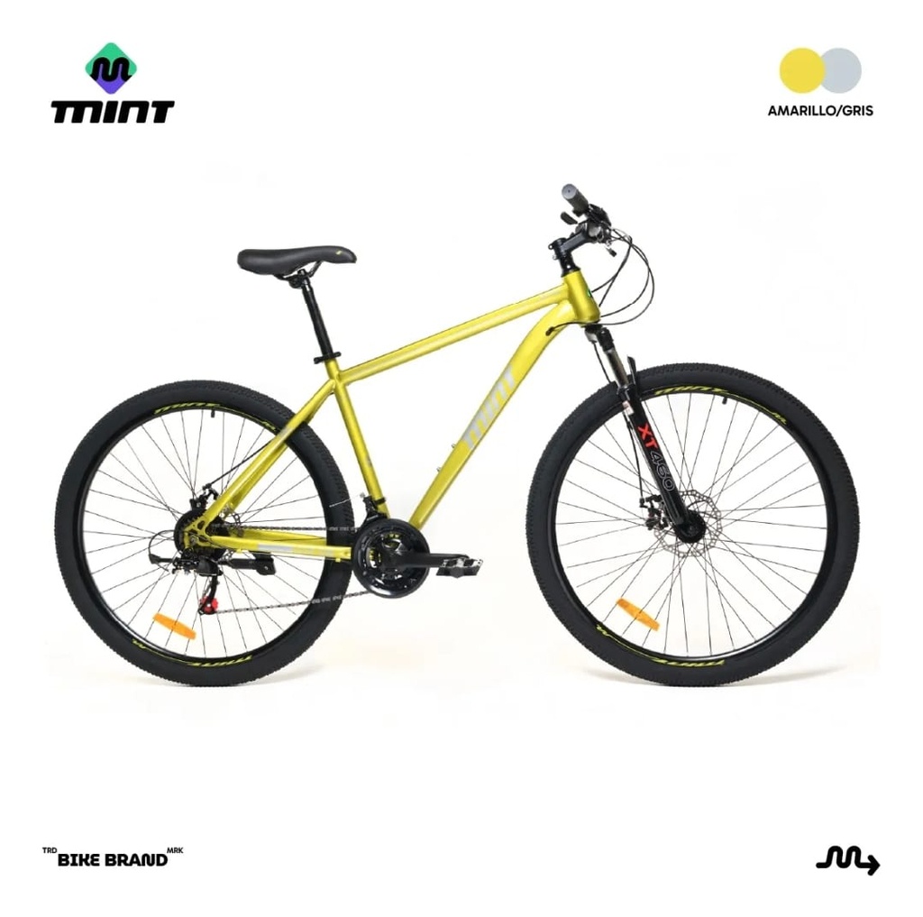 Bicicleta Mtb Mint Astro Talle M/l R29 21 Vel Celeste Azul Amarillo/gris M/l