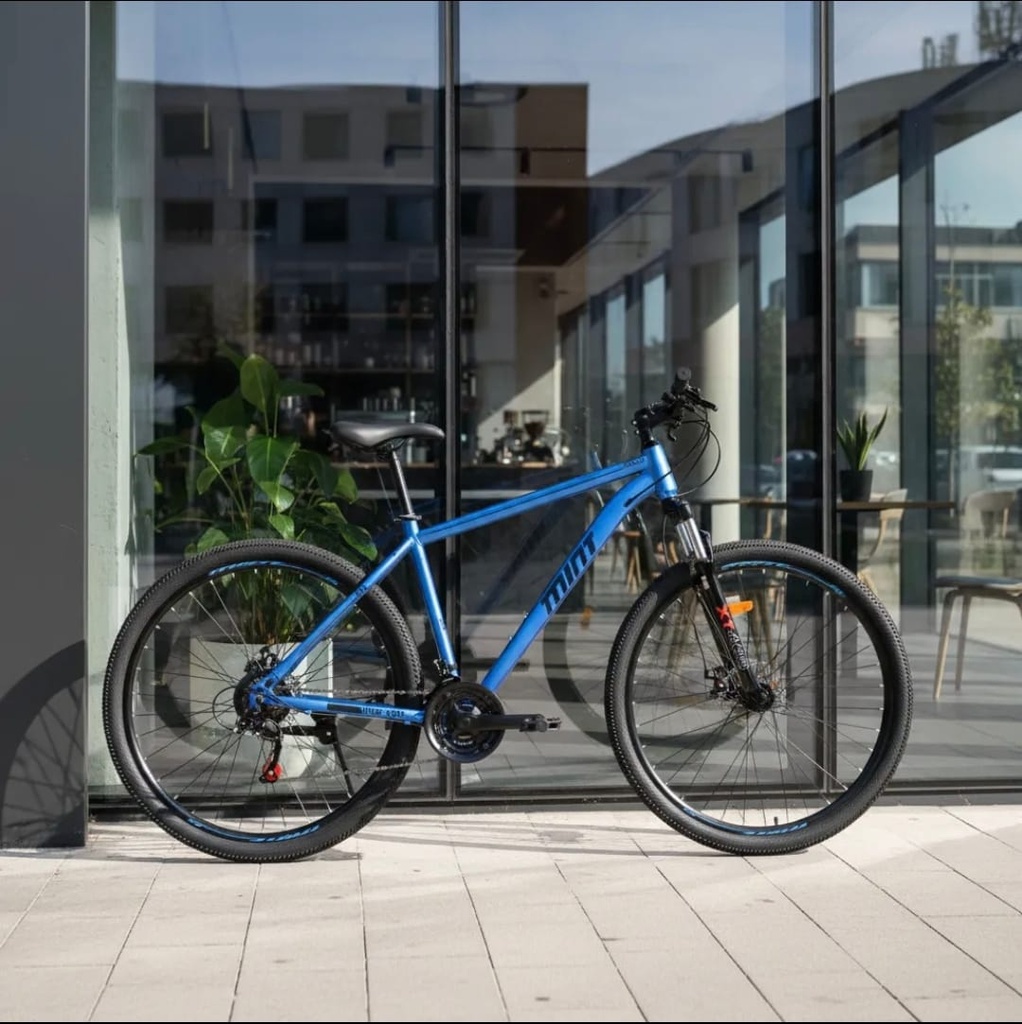 Bicicleta Mtb Mint Astro Talle M/l Rod 29 21 Velocidades Azul M/l