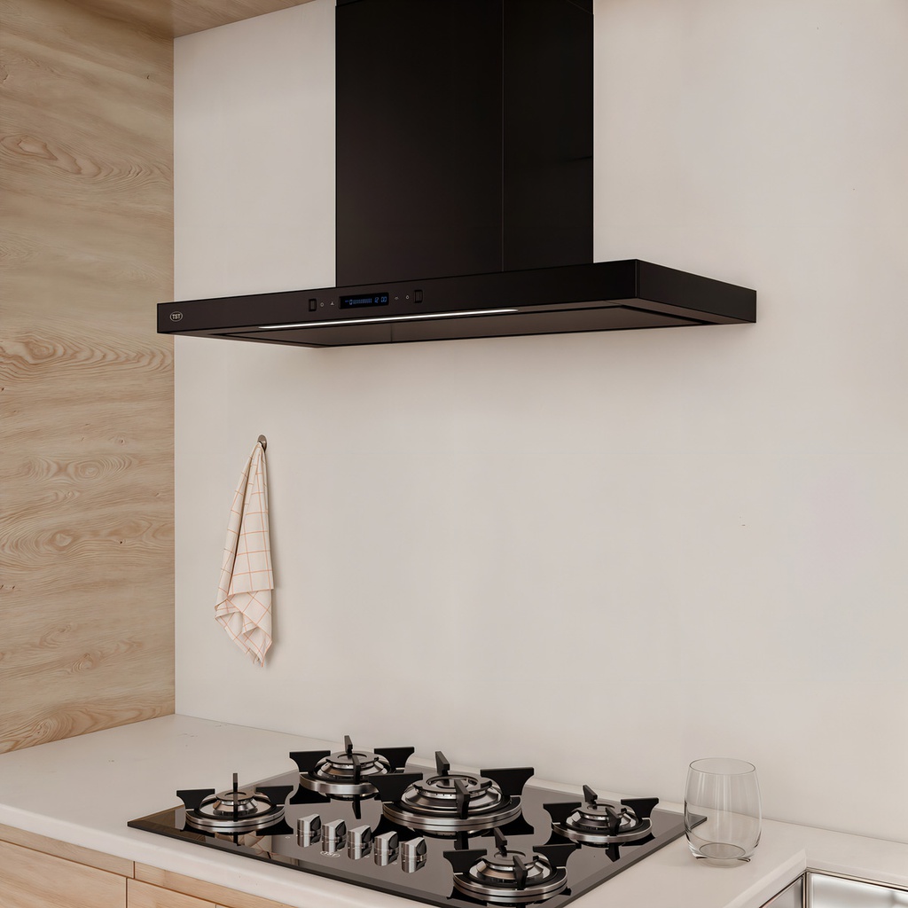 Extractor Purificador De Cocina Tst Yacuy Pared Color Negro Negro