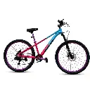 IMG-03.webp