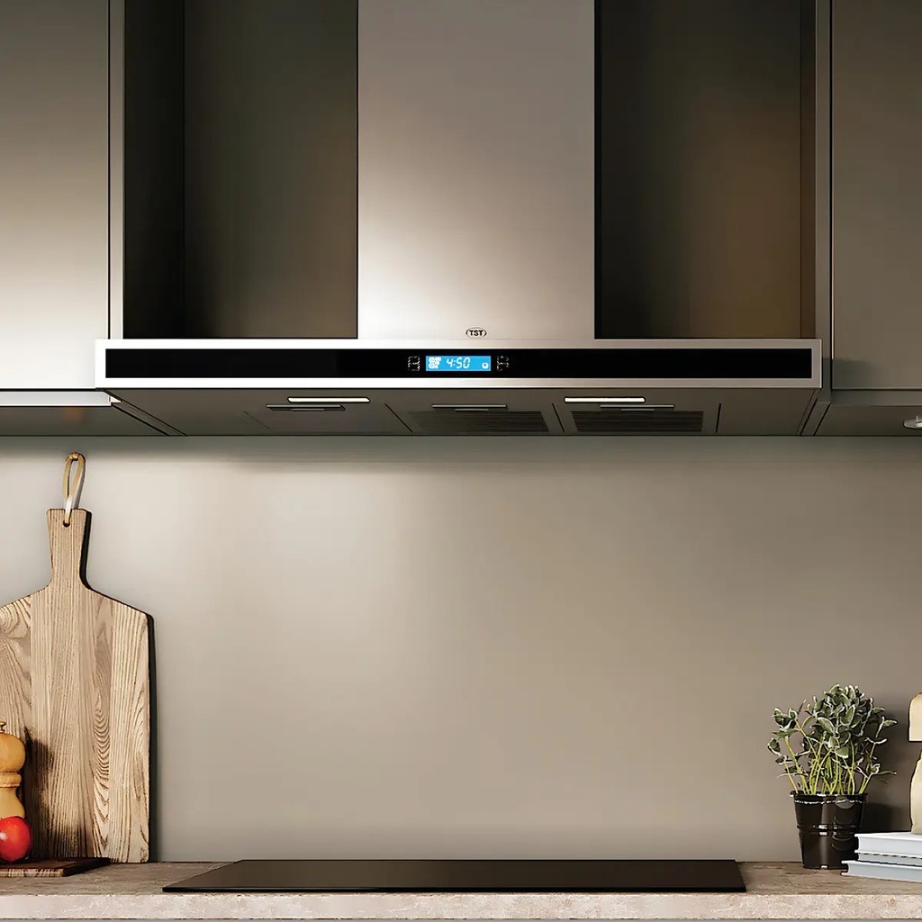 Campana De Cocina Tst Colhue 60cm Touch 3 Vel Acero Inox Plateado