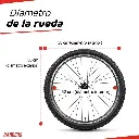 IMG-06.webp