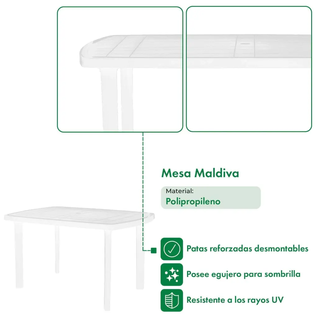 caracteristicas_5-059c919216b2383a7817779258722700-1024-1024.webp