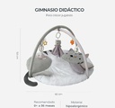 GIMNASIO DIDACTICO CARESTINO GATITO PL019